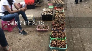 花椒种子有什么用处