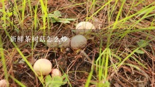 新鲜茶树菇怎么炒