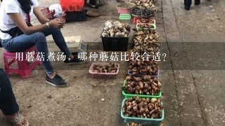 用蘑菇煮汤，哪种蘑菇比较合适？