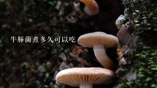 牛肝菌煮多久可以吃