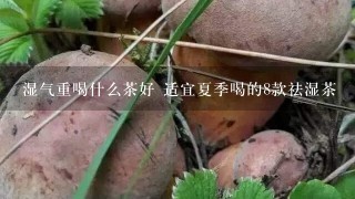 湿气重喝什么茶好 适宜夏季喝的8款祛湿茶