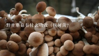 野生蘑菇有什么功效（枞树菌？