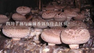 4川干锅与麻辣香锅有什么区别？