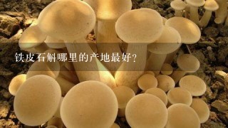 铁皮石斛哪里的产地最好？