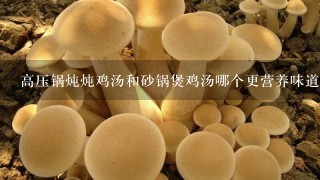 高压锅炖炖鸡汤和砂锅煲鸡汤哪个更营养味道更鲜美？