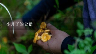 小月子的食谱