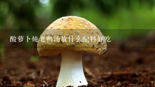 酸萝卜炖老鸭汤放什么配料好吃