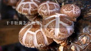 干羊肚菌怎么泡发？