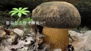 蘑菇怎么炸才酥脆m？