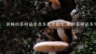 新鲜的茶树菇要煮多久才能吃,新鲜茶树菇多久可以煮