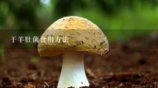 干羊肚菌食用方法