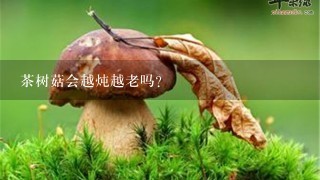 茶树菇会越炖越老吗？