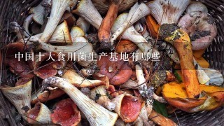 中国十大食用菌生产基地有哪些