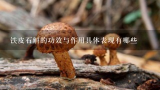 铁皮石斛的功效与作用具体表现有哪些