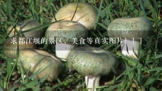 求都江堰的景区，美食等真实图片！！！