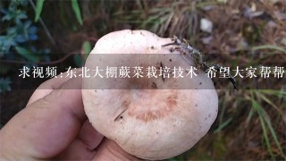 求视频:东北大棚蕨菜栽培技术 希望大家帮帮忙