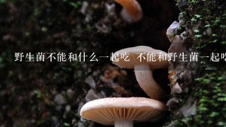 野生菌不能和什么1起吃 不能和野生菌1起吃的食物