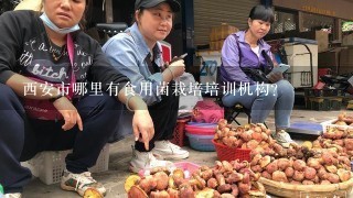 西安市哪里有食用菌栽培培训机构?