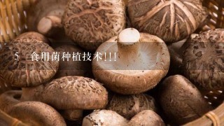 5 食用菌种植技术!!!
