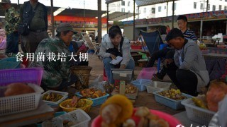 食用菌栽培大棚