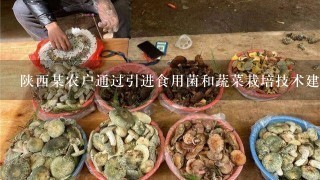 陕西某农户通过引进食用菌和蔬菜栽培技术建起了7个塑料大棚，变冬闲为冬忙。在大棚里生产蘑菇和只有春夏才能生长的蔬菜。春节期间这些农产品在城市蔬菜市场上供不应求，取得较好的经济社会效益。据此回答下列各题：1.塑料大棚主要改善了作物生长的哪种条件 2.上述材料说明，提高农业产出的重要手段是:A.热量B.水