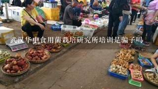 武汉华中食用菌栽培研究所培训是骗子吗