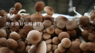 野生菌好吃榜排行?