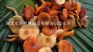 湖北东宇机械制造有限公司怎么样？