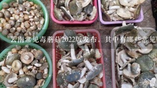 云南常见毒蘑菇2022版发布，其中有哪些常见的毒蘑菇