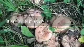 如何给食用菌添加营养液