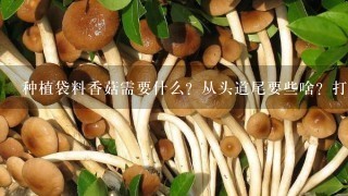 种植袋料香菇需要什么？从头道尾要些啥？打算做1000