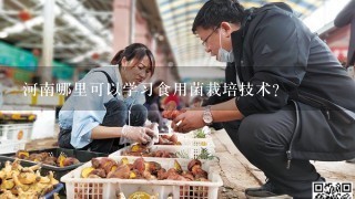 河南哪里可以学习食用菌栽培技术？