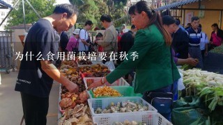 为什么食用菌栽培要在秋季