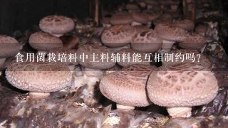 食用菌栽培料中主料辅料能互相制约吗?