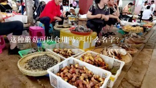 这种蘑菇可以食用吗?叫什么名字？