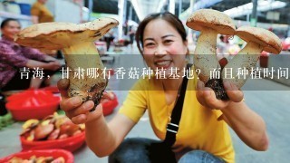 青海，甘肃哪有香菇种植基地？而且种植时间以长的地方？具体怎么走？谢谢了