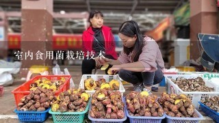 室内食用菌栽培技术