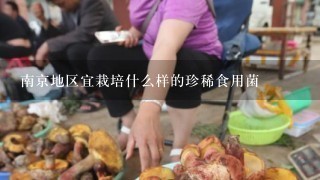 南京地区宜栽培什么样的珍稀食用菌