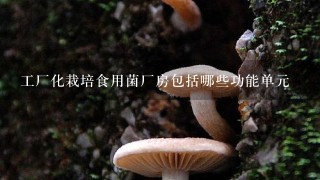 工厂化栽培食用菌厂房包括哪些功能单元