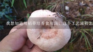 我想知道用稻草培养食用菌，这个工艺流程怎样操作，稻草可以培养哪几种食用菌