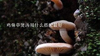 鸡骨草煲汤用什么搭配最好