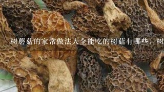 树蘑菇的家常做法大全能吃的树菇有哪些，树菇有什么