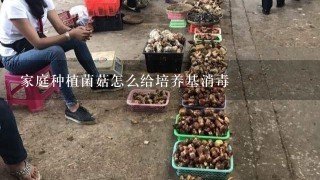 家庭种植菌菇怎么给培养基消毒