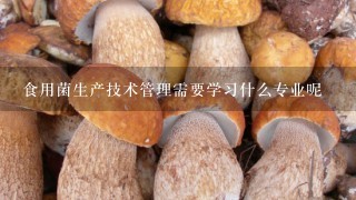 食用菌生产技术管理需要学习什么专业呢