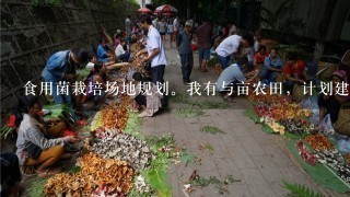 食用菌栽培场地规划。我有与亩农田，计划建个食用菌生产场，场地如何