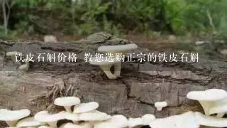 铁皮石斛价格 教您选购正宗的铁皮石斛