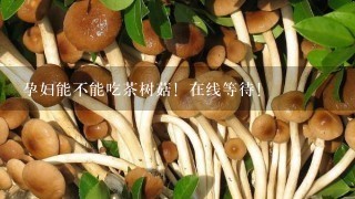 孕妇能不能吃茶树菇！在线等待！