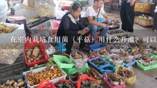 在室内栽培食用菌（平菇）用什么升温？可以用红外线加温灯吗？