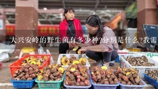 大兴安岭的野生菌有多少种?分别是什么?我需要科学的名称，最好能有图片，谢谢!