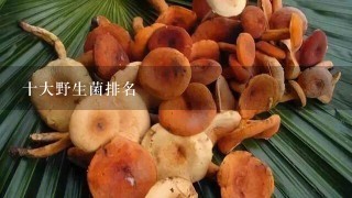 十大野生菌排名